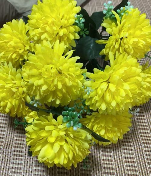 photo_2025-04-06_15-56-41